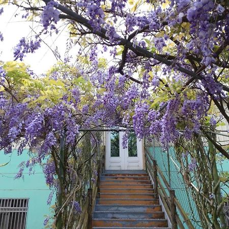 Youlin Homestay Meishan Экстерьер фото